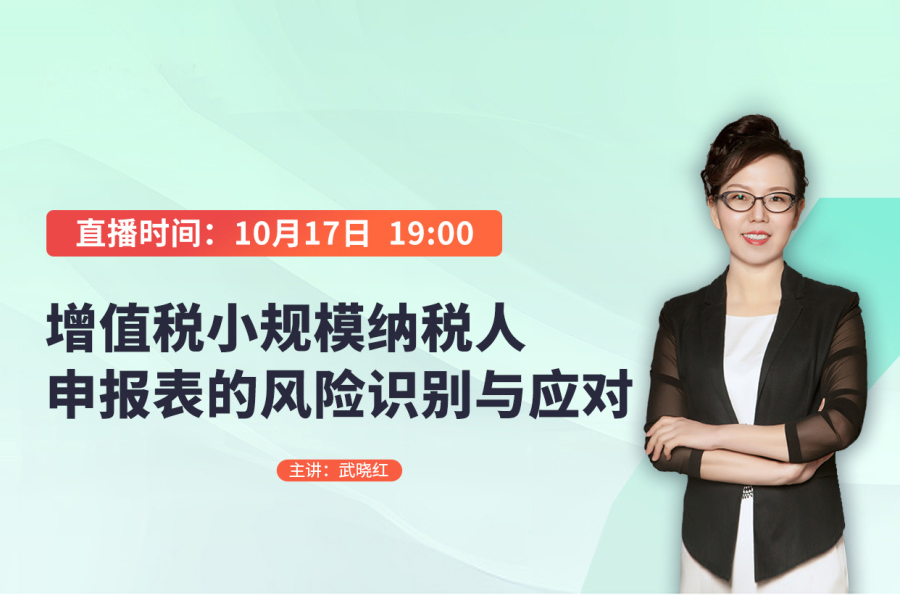 增值税小规模纳税人申报表的风险识别与应对(2024.10.17)